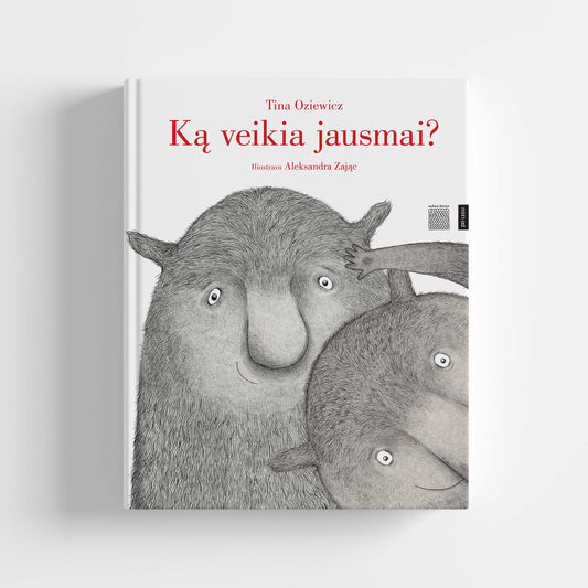 DIDYSIS dovanų rinkinys 4-7 m. vaikams „Emoooocijų kalneliai“