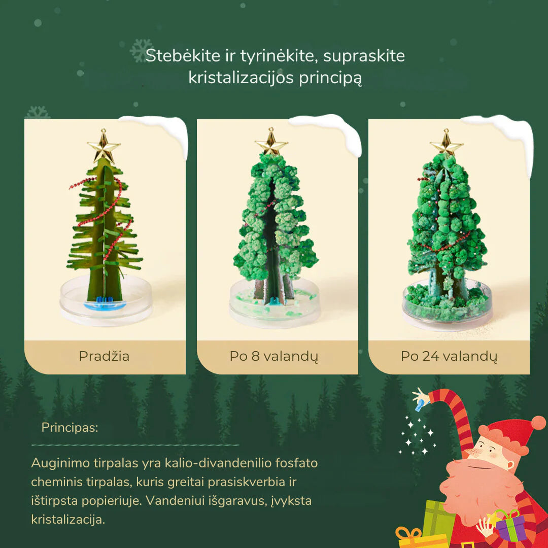 8-10 m. vaikams: šventinė advento knygų dėžutė su plakatu