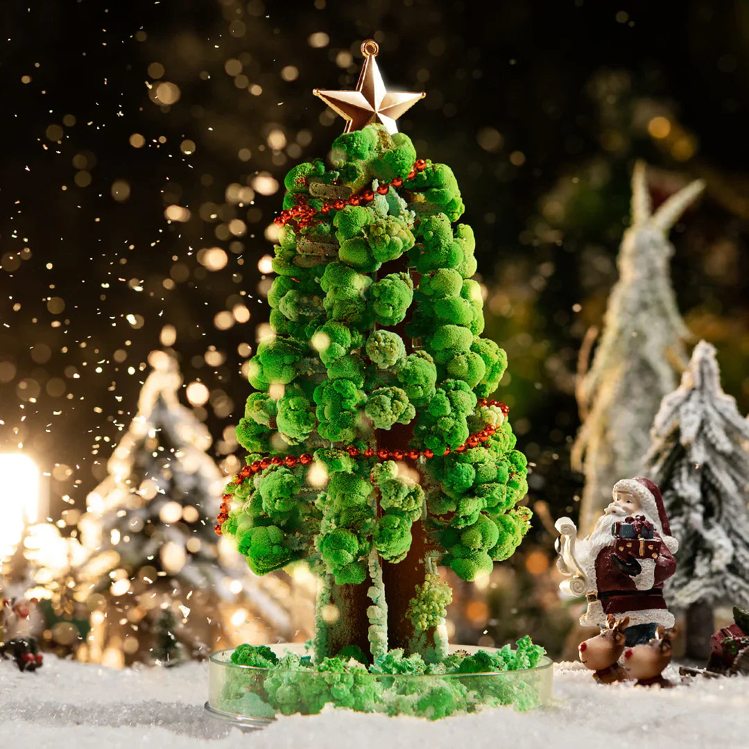 Trijų dalių šventinis advento rinkinys visai šeimai