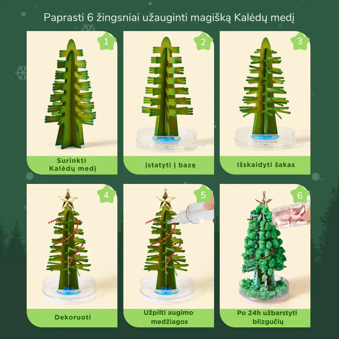 Trijų dalių šventinis advento rinkinys visai šeimai